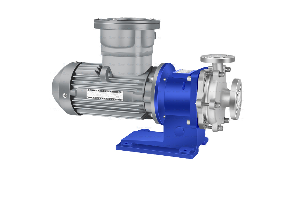 Explosion proof stainless steel magnetic pump
